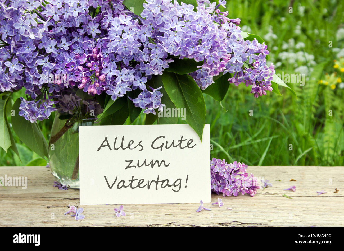 german Father`s Day card with lilac Stock Photo Alamy